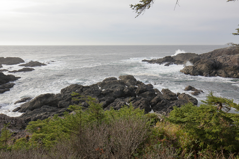 Illustration for article titled Trip Recap: 2017-12-09 on the Pacific Rim Highway to the Wild Pacific Trail